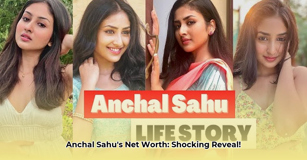 anchal-sahu-net-worth